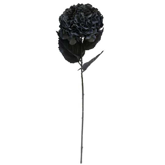 12 Pack: Black Hydrangea Stem by Ashland&#xAE;